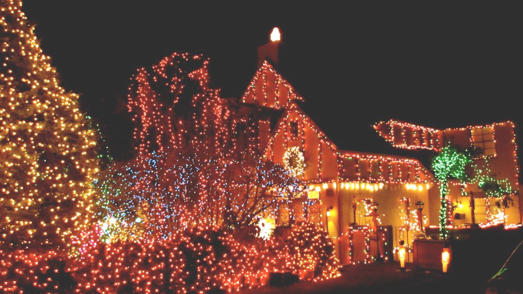 The Berkeley Wire 12.08.10