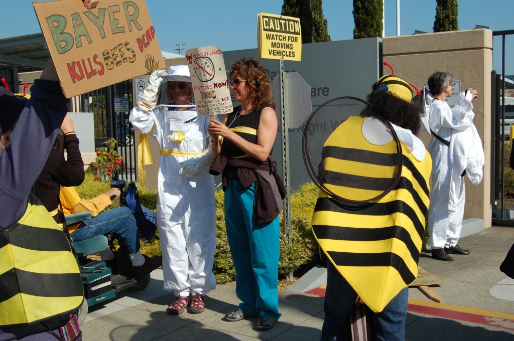 Activists accuse Bayer of killing bees, protest in Berkeley