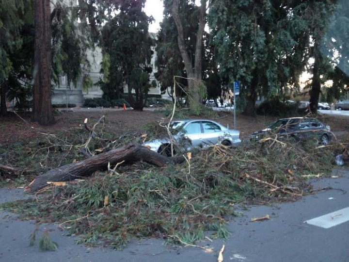 Berkeley residents assess damage caused by high winds