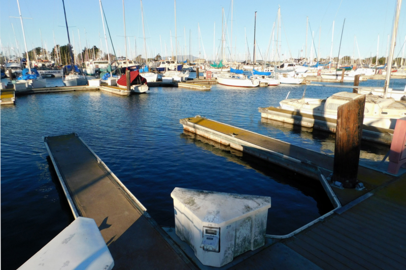 Dead man found floating at Berkeley Marina Thursday
