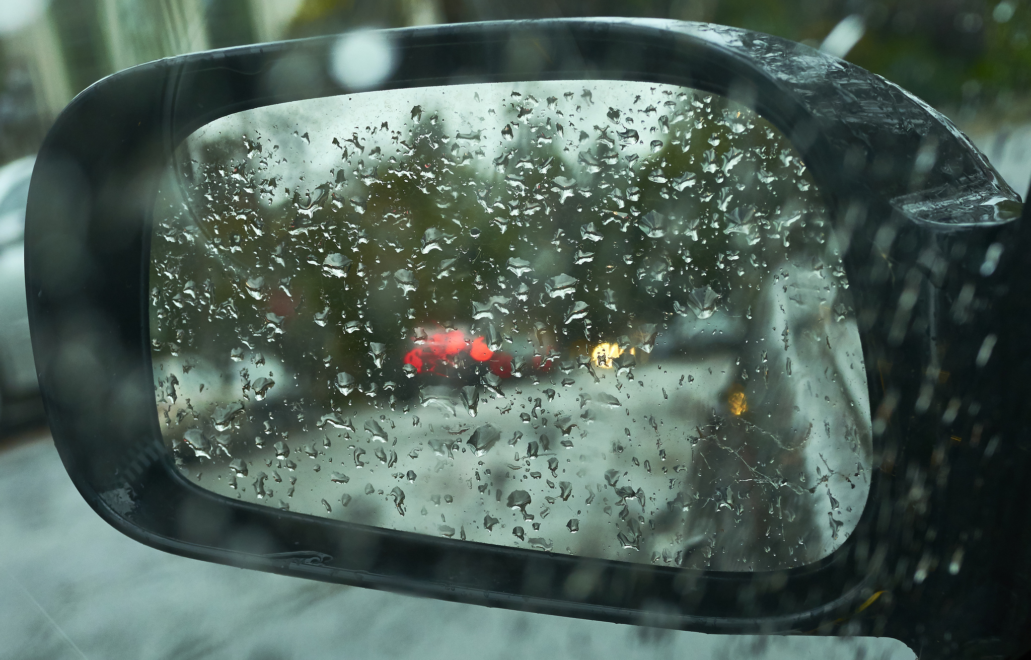 Weather What Berkeley can expect from this weekend's rain