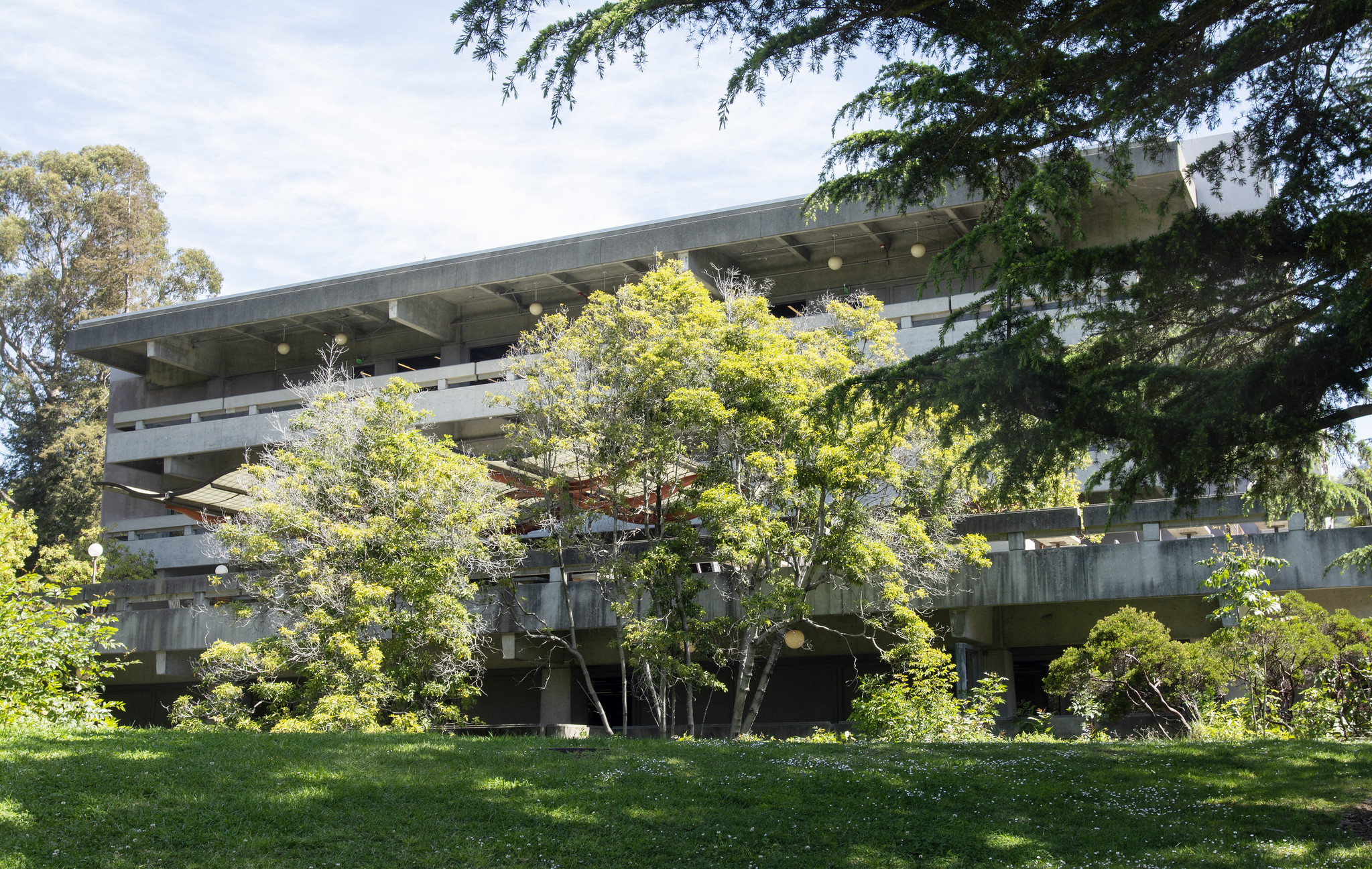 Man who crashed scooter on UC Berkeley campus last month has died
