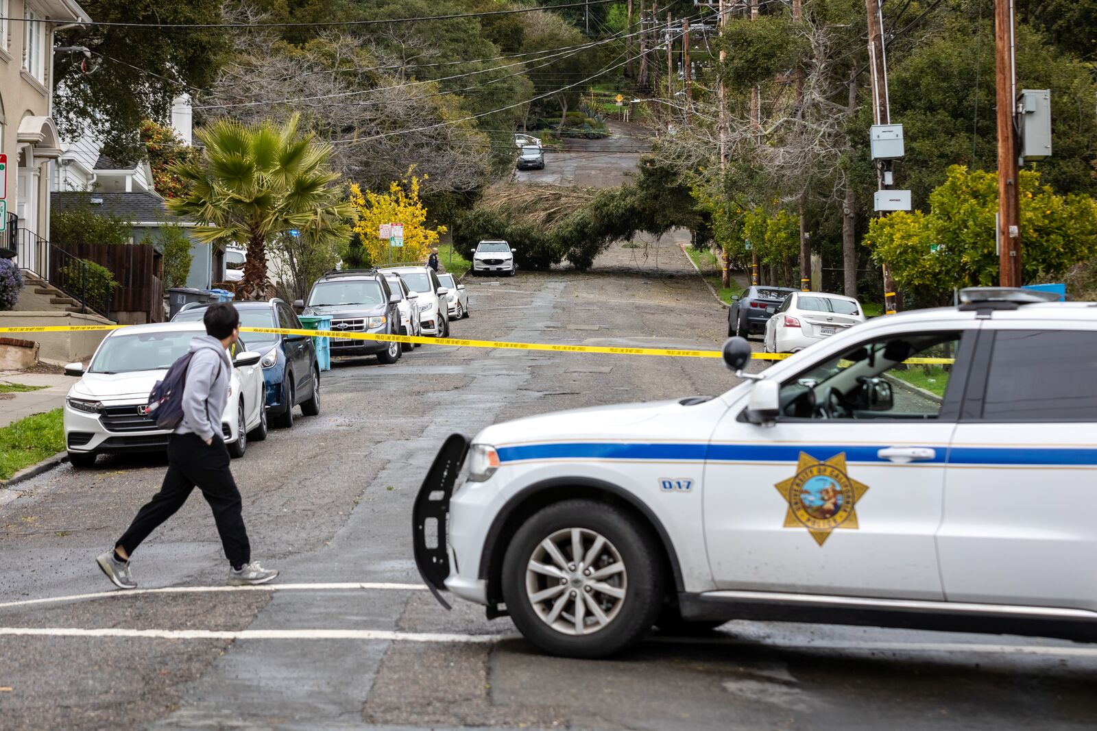 Trees topple, thousands lose power as winds lash Berkeley