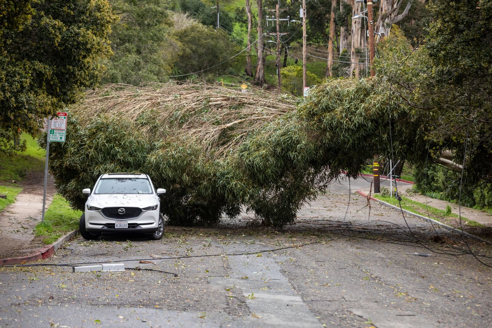 Soaked Berkeley bracing for more rain and dangerous winds