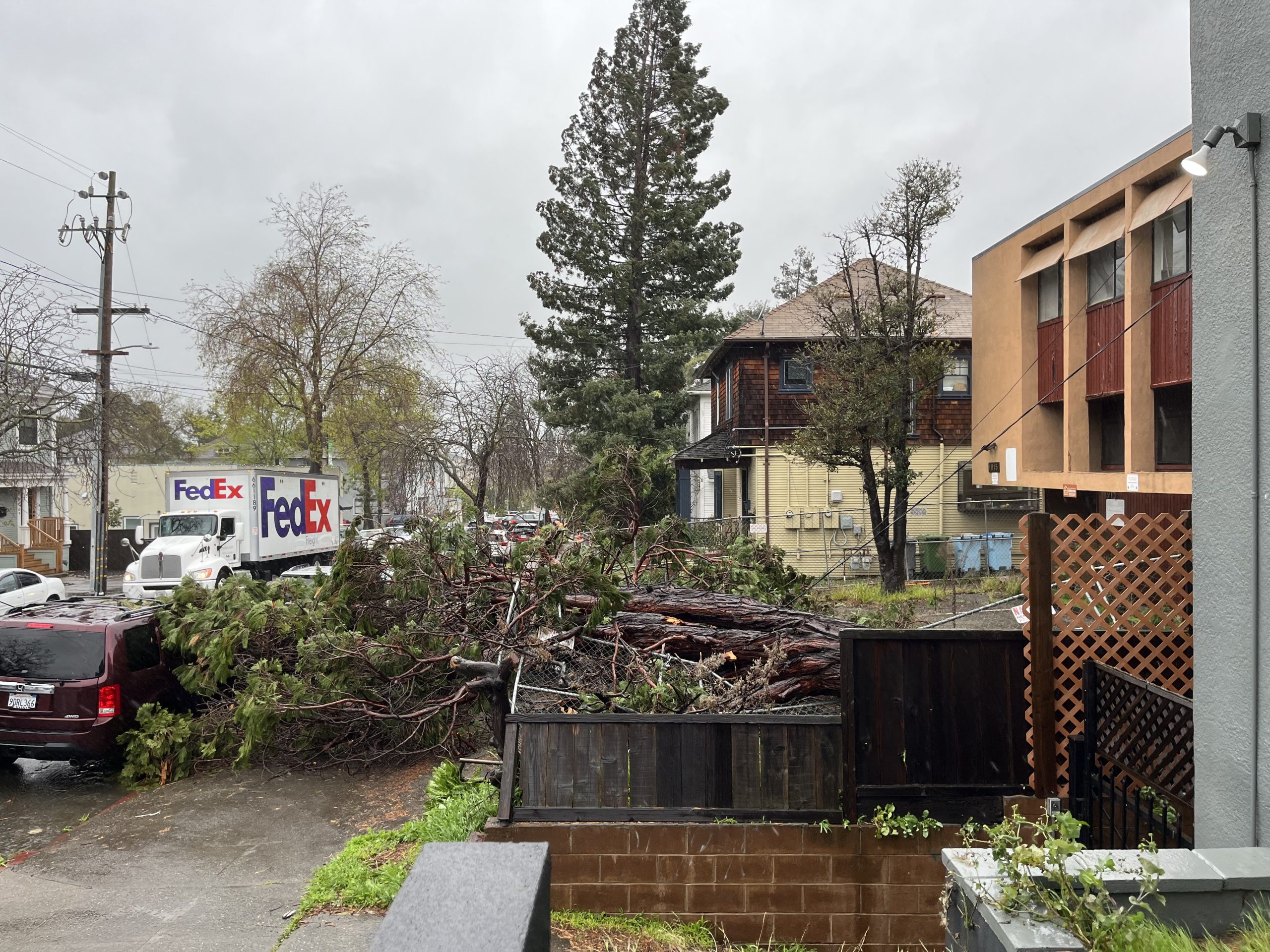 Berkeley weather Thousands lose power due to wind, rain