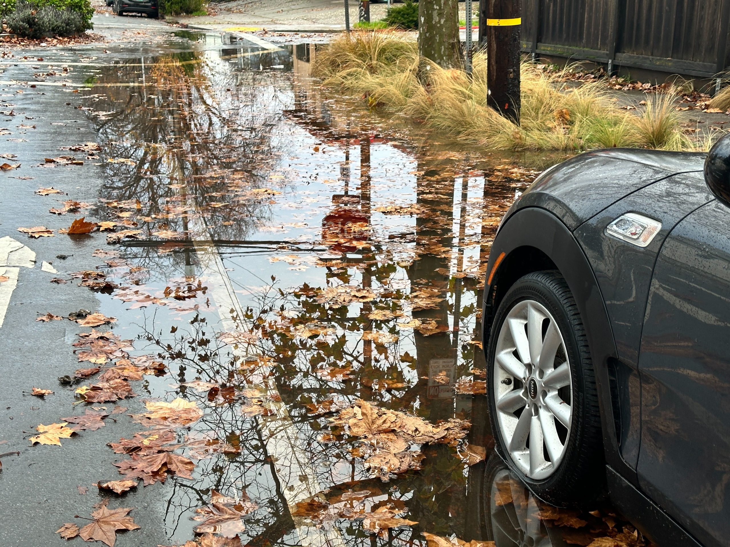 Berkeley rainfall tops an inch in 24 hours