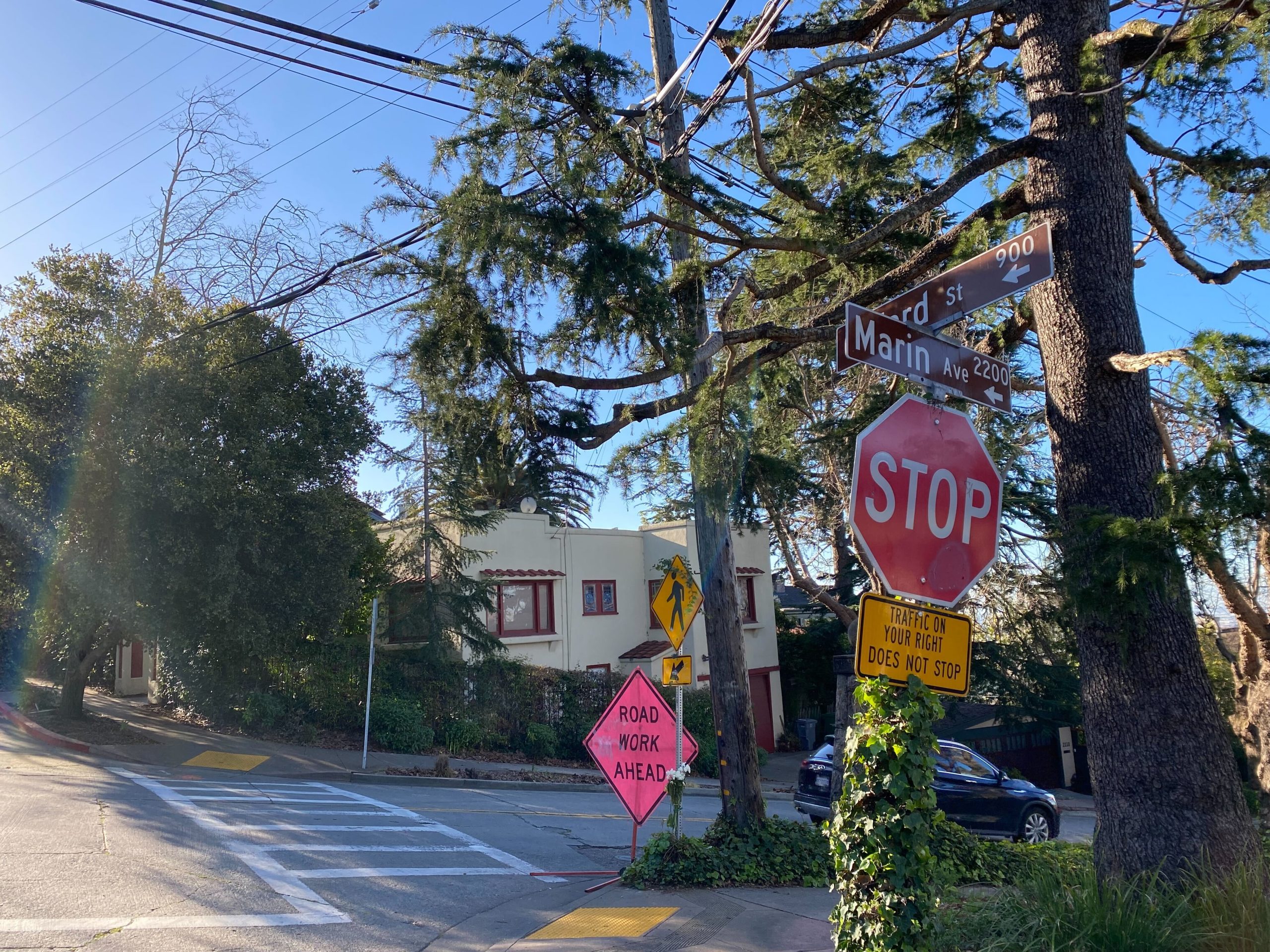 Berkeley woman struck by car while jogging dies from injuries