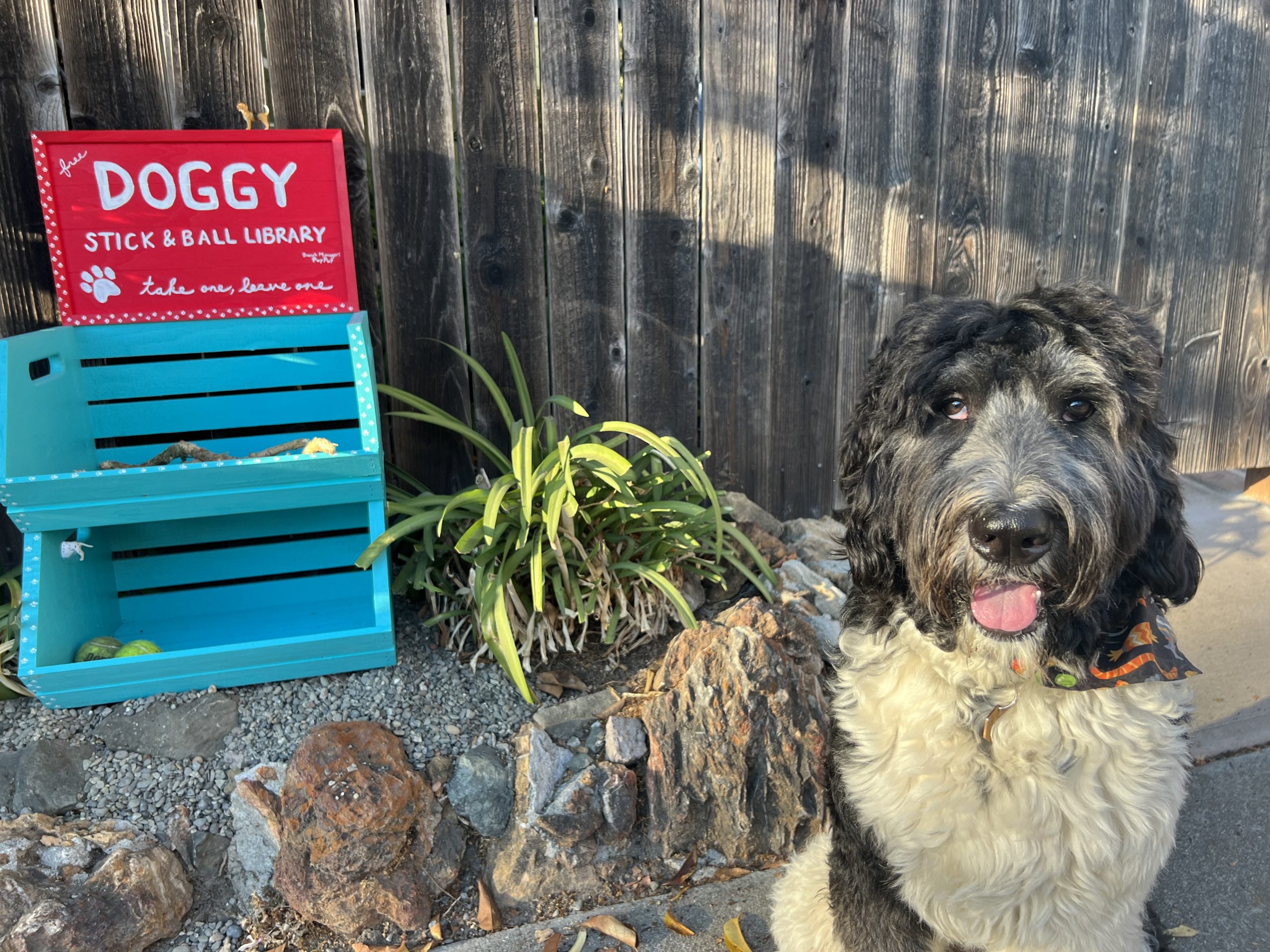 Meet the branch manager of Berkeley's doggy stick-and-ball library