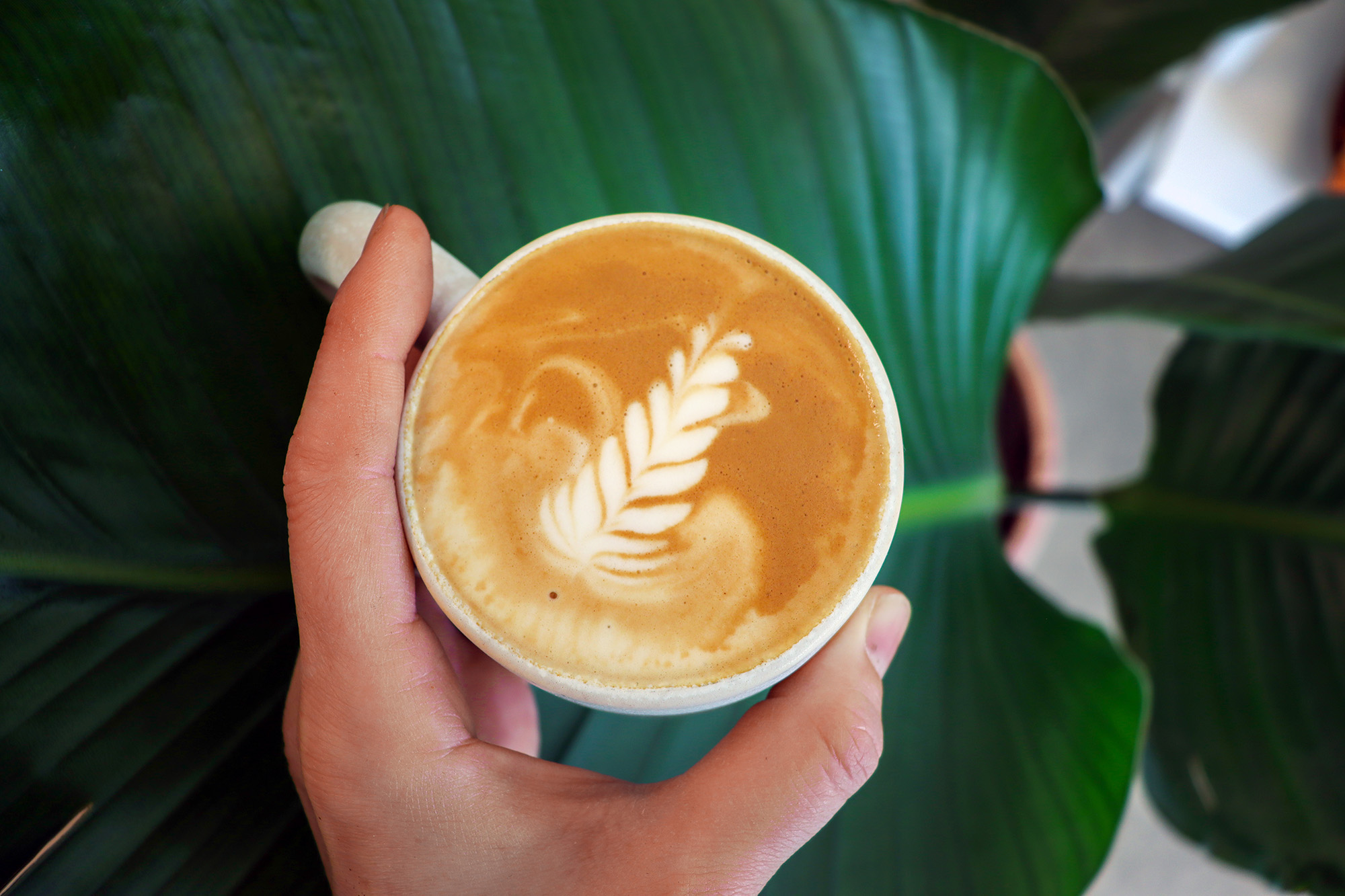 At Proyecto Diaz’s West Oakland flagship cafe, everyone’s invited to celebrate Latin flavors
