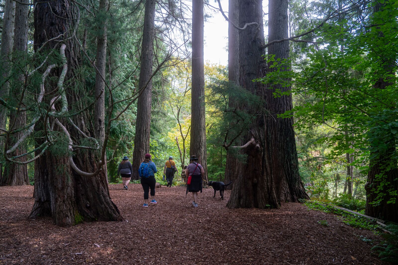 How to start your new year enjoying nature