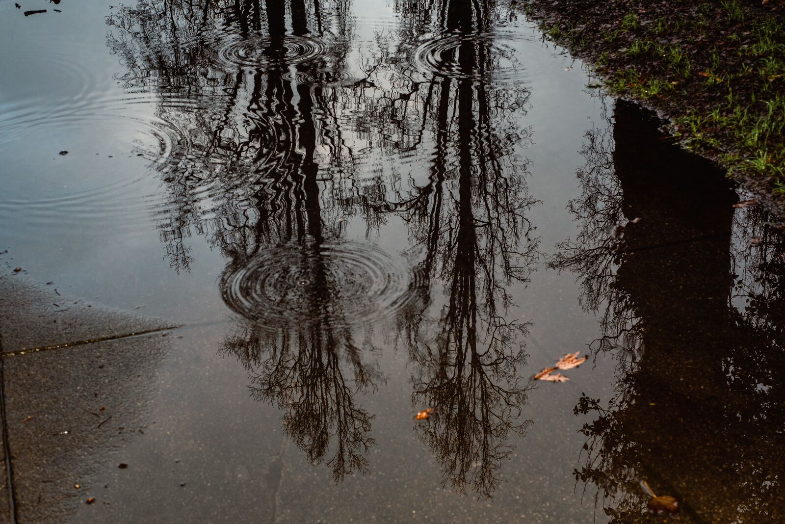 Berkeley can expect 3 inches of rain in coming days