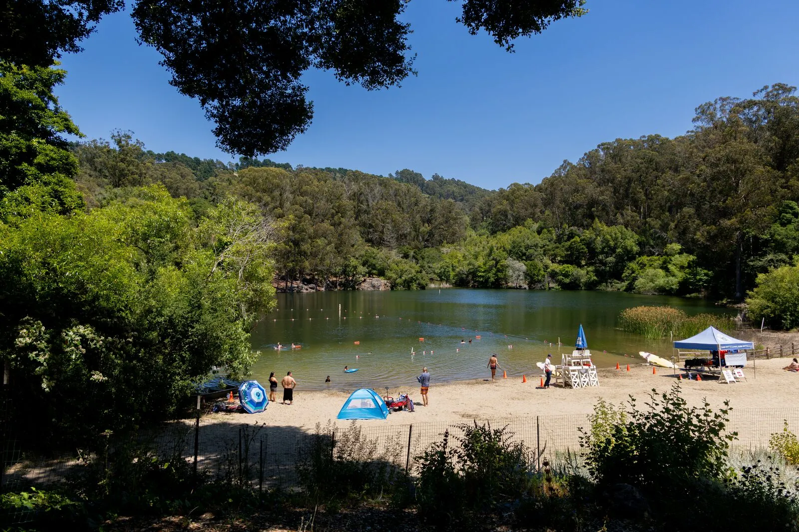 Lake Anza is open for swimming with toxic algae abated for now