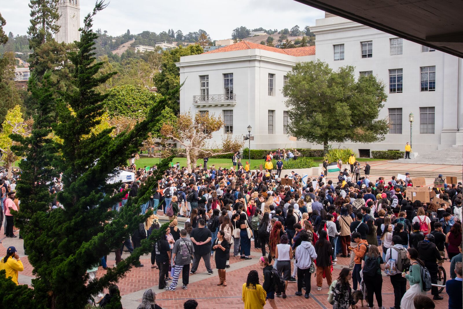 UC Berkeley settles with Israeli dance instructor rejected for a job during Gaza protests