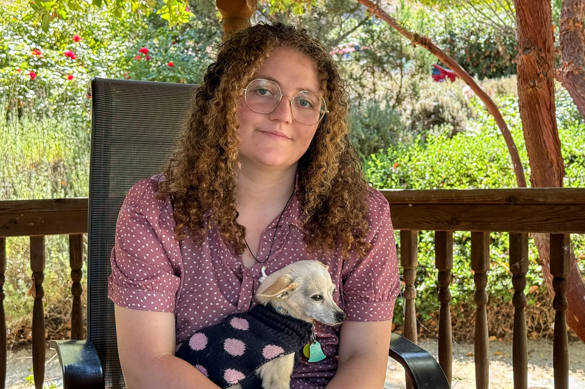 Berkeley animal activist faces prison in Sonoma County chicken theft case