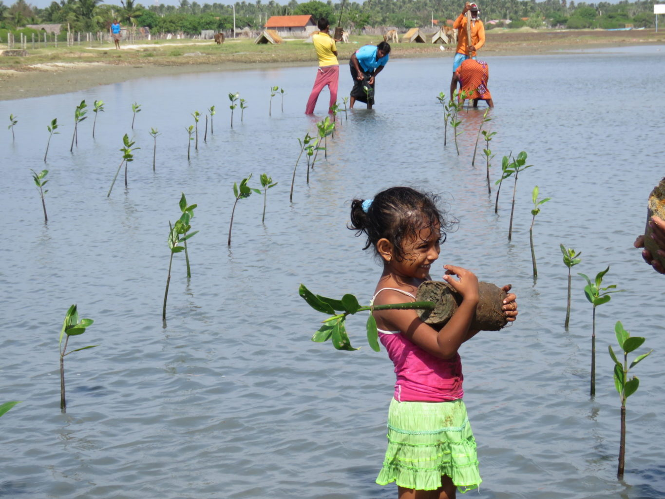 Berkeley nonprofit has saved over 1.5 million acres of island forests and marine ecosystems