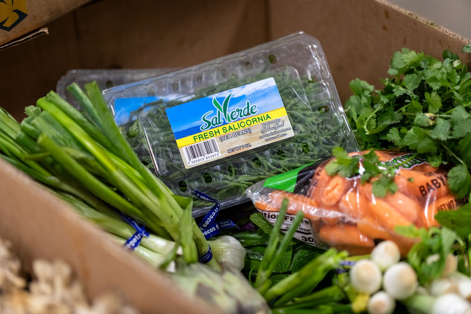 SNAP payments resume, but Alameda County households struggle with shutdown's lingering effects