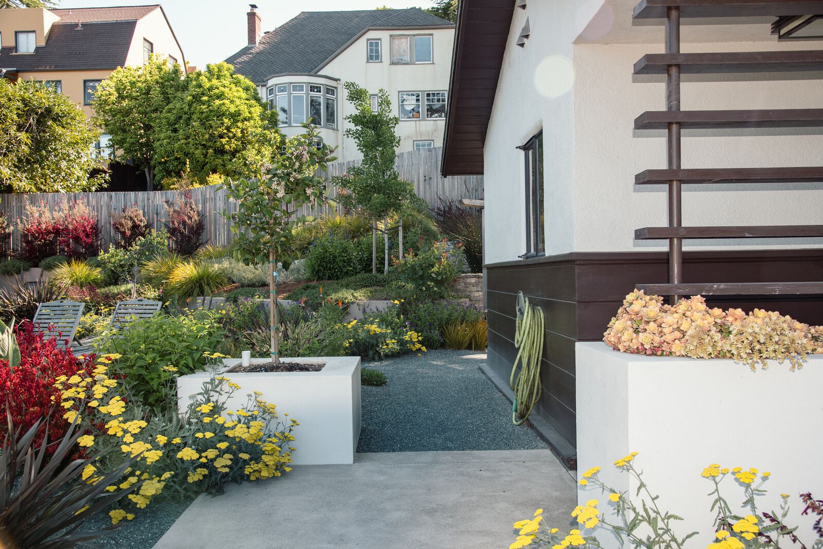 Ban on vegetation near some Berkeley Hills homes starts Jan. 1. Here's what to know