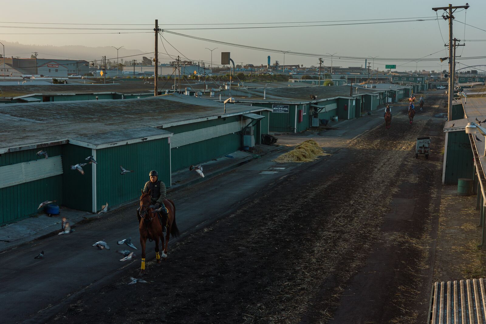 Plan to turn Golden Gate Fields into waterfront park could get $125M from state