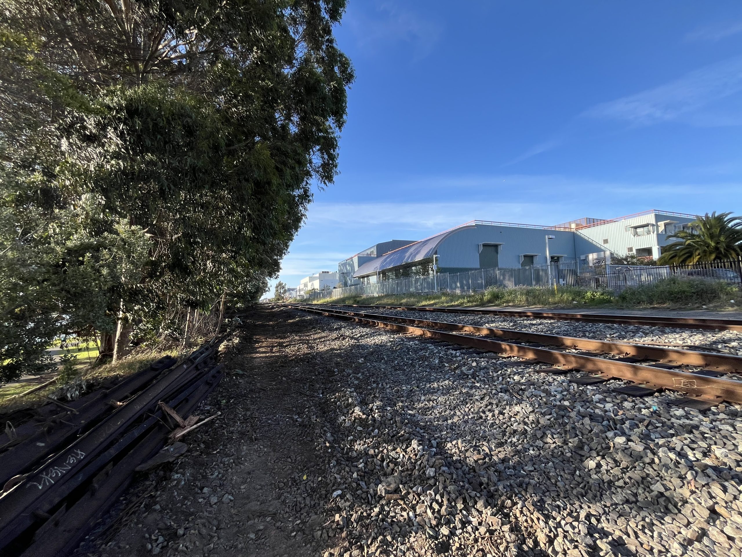 400 trees to be axed in Berkeley for railroad project centered in Oakland