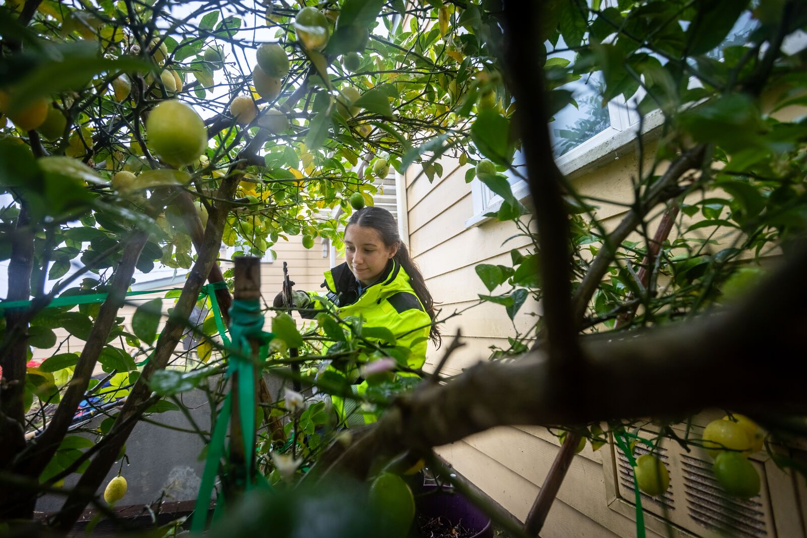 Berkeley stands by strict rules for fire-safe homes as inspections ramp up