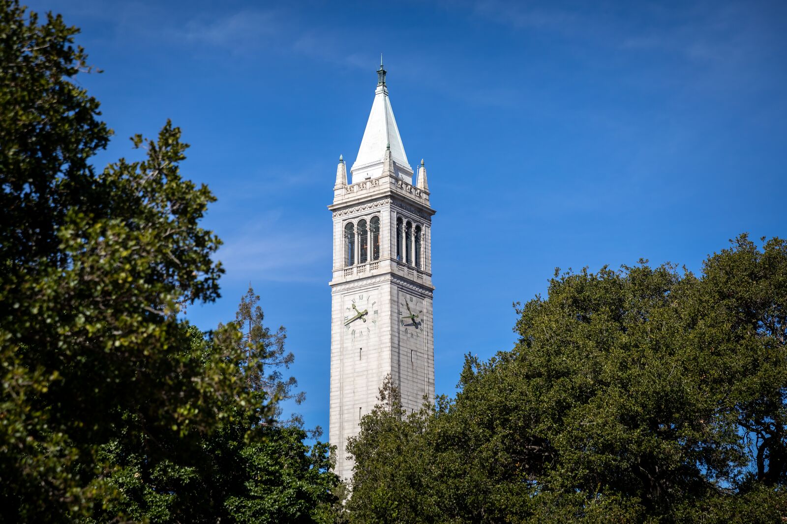 Affordable housing for Berkeley teachers underway, to be ready by 2027
