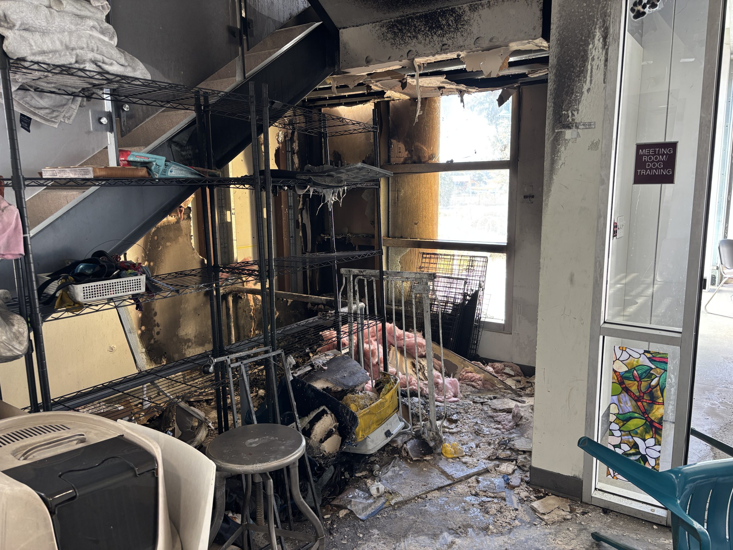 Berkeley Police Arrest Suspect in Animal Shelter Arson as Investigators Probe a Second Act of Vandalism